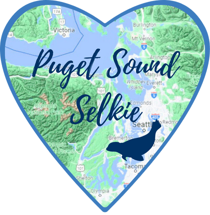 Puget Sound Selkie